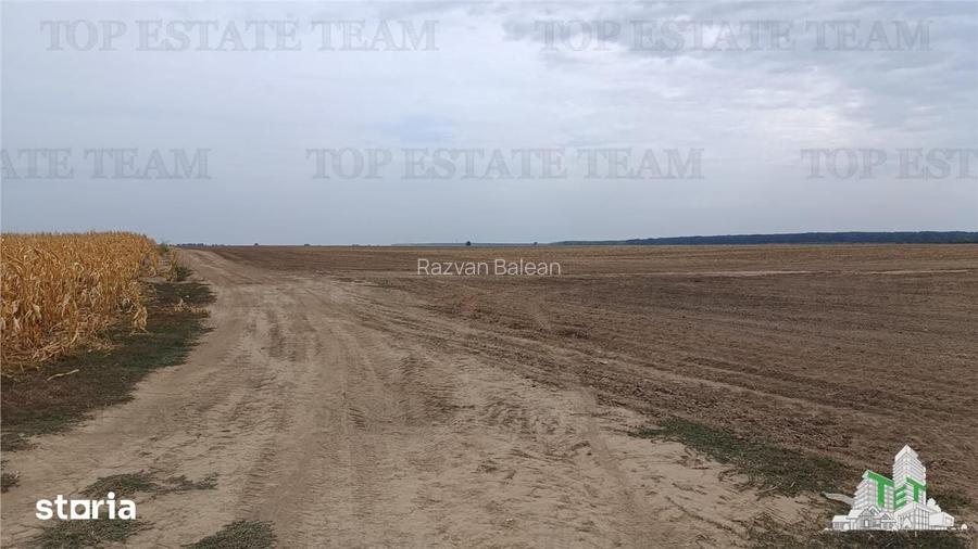Oferim spre vanzare 6 loturi de teren extravilan (agricol) in Petrachi