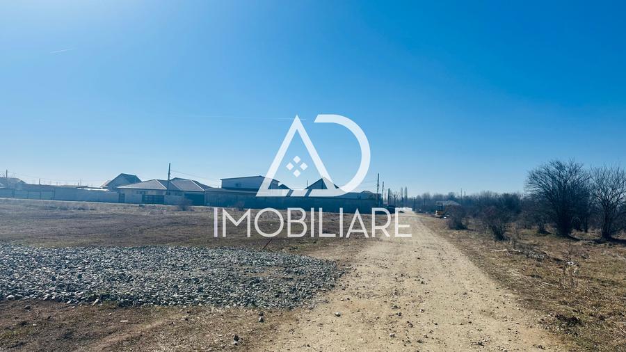 Teren Construcții extravilan de 300 mp, în Narciselor