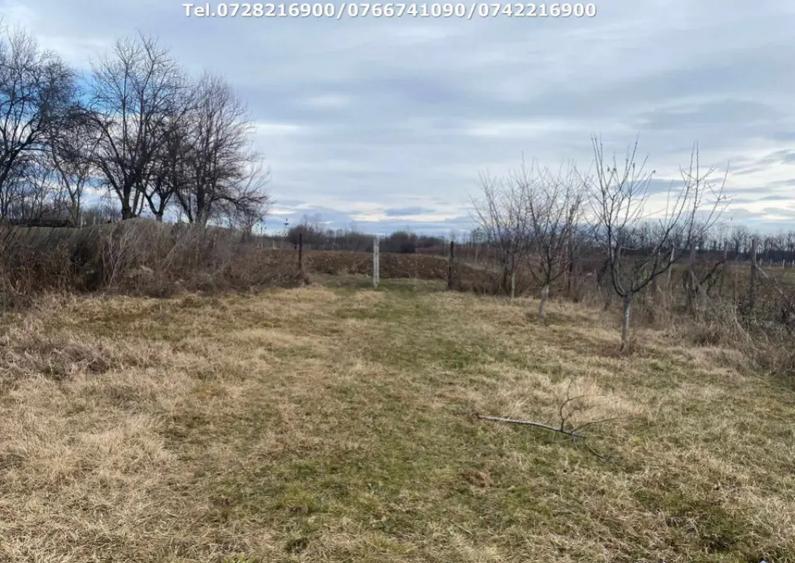 Casa situata in orasul Targu-Carbunesti , Localitatea Flor - 10