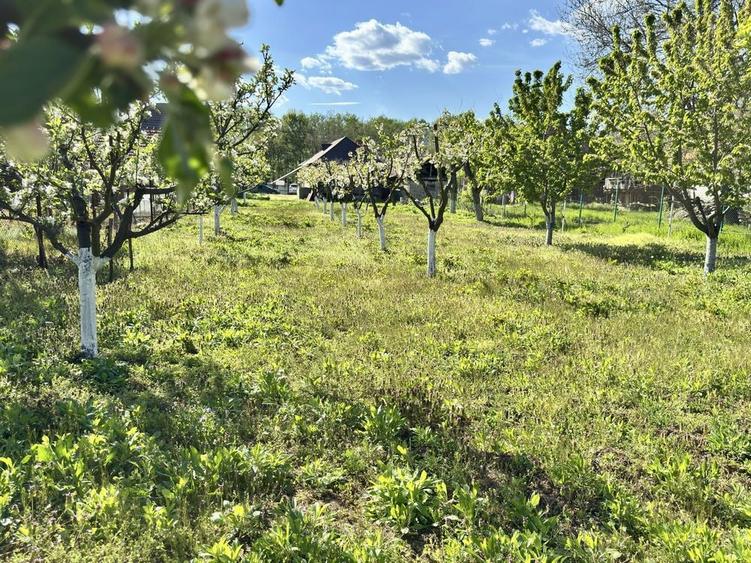 De vanzare casa Stanesti-Alexeni casa+teren 6150mp - 5