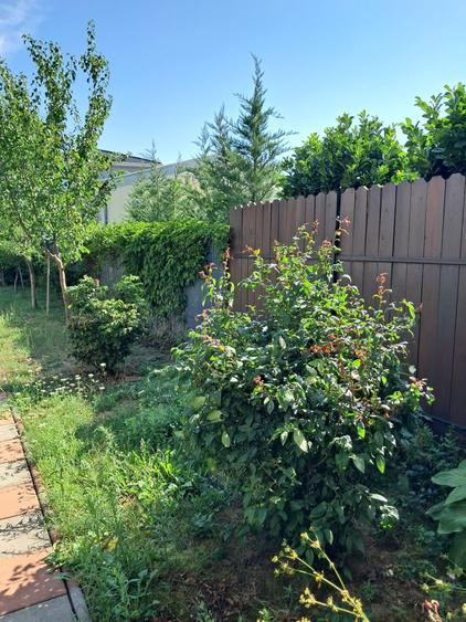 Dumbravita-apartament in triplex-190.000 € - 5