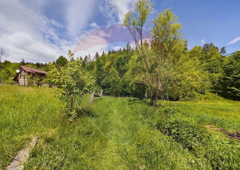 Comision 0%! Proprietate in natura, priveliste superba, S... - 17