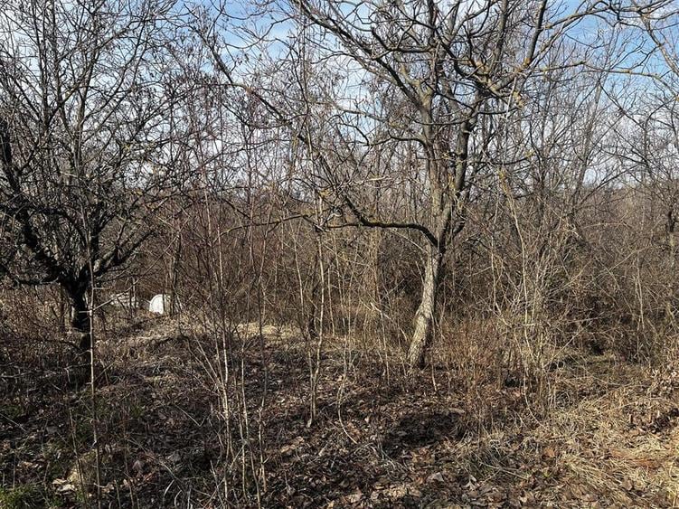 Teren de vânzare în Seciu, Prahova – 1.746 m², cu utilitati si constru - 5