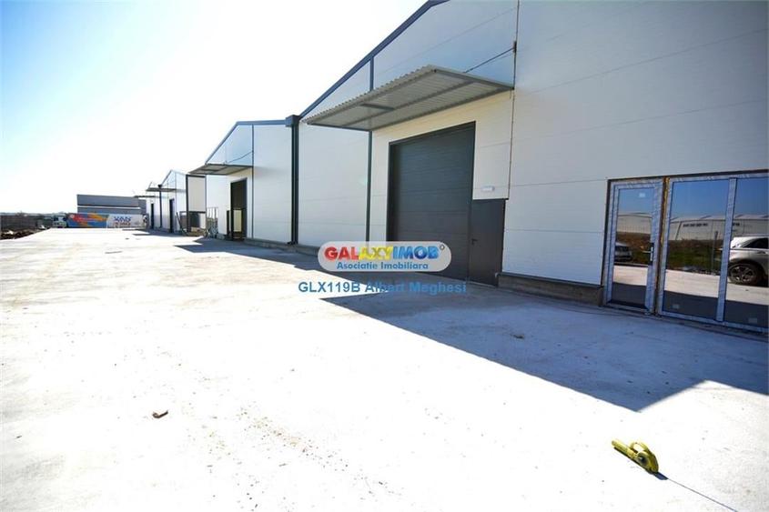 Vanzare Hala Depozitare 565 mp Afumati - 5