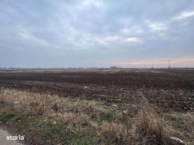 LOTURI DE CASA / Teren CHITILA / 500 Mp - 4