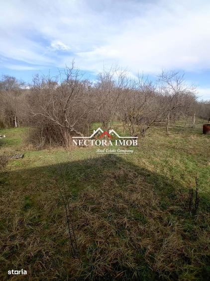 NECTORA IMOB-Teren Intravilan Zona Facliei, Teren Plat,460 mp,F:29 ml - 4