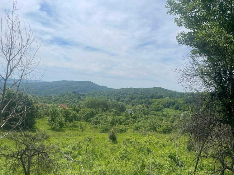 Teren de vanzare, peisaj superb, aproape de autostrada Pitesti-Sibiu - 7