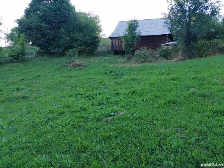 Vand casa de vacan?a in Mun?ii Apuseni - 6