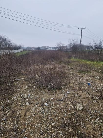 Teren de vanzare Malu Mare – 1.250 mp intravilan - 1