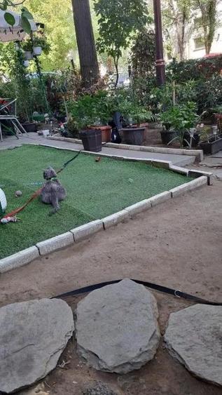 Apartament 2 camere, 38 mp, semidecomandat, Valea Rosie - 10