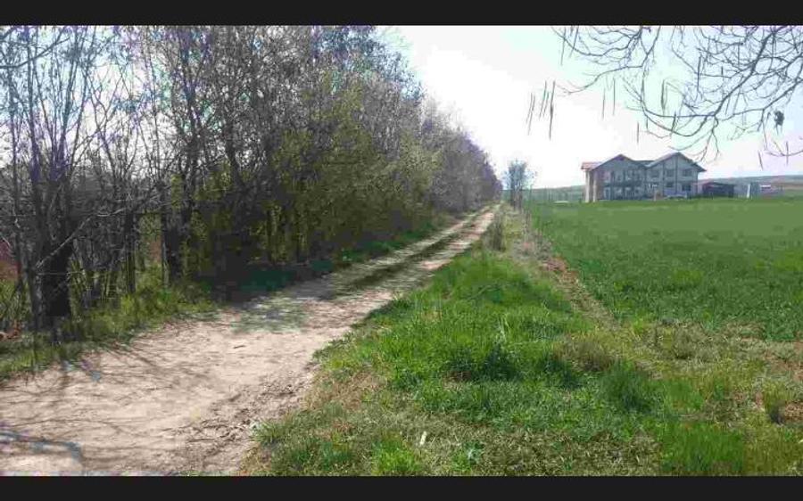 Teren de vanzare Teis - Dambovita - 2