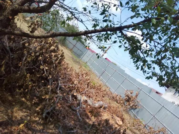 Teren intravilan 939 mp, Tag?oru Nou - 2