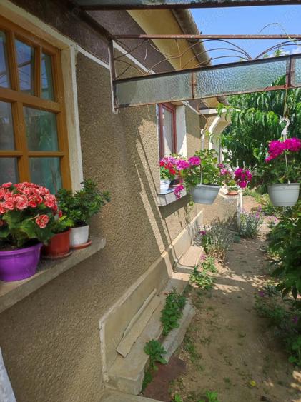 Vand casa in Simian, Bihor - 2