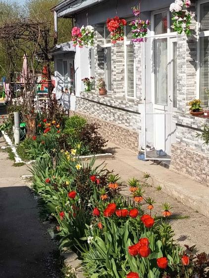 Casa caramida-30km distanta de bucuresti dn5 - 5