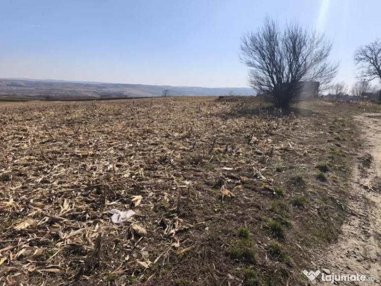 Teren 6500mp, 40ml deschidere la E85, Granicesti, Suceava - 4