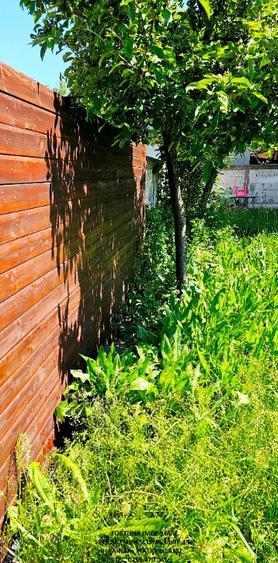 Proprietate D-va Rosie, vila S+P+E si teren - 3