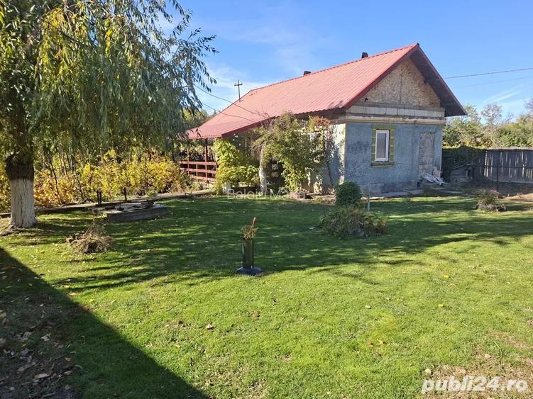 Casa cu teren 3.000 mp vie, livada, utilita?i, acte in regula!