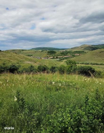 Teren intravilan 2.200 mp | Radaia Baciu | Panorama superba - 1