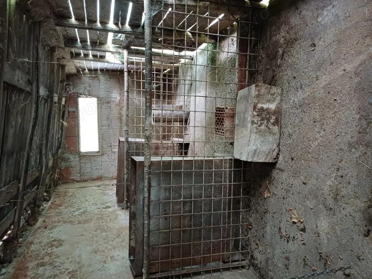 Ferma de vaci de vanzare - 8