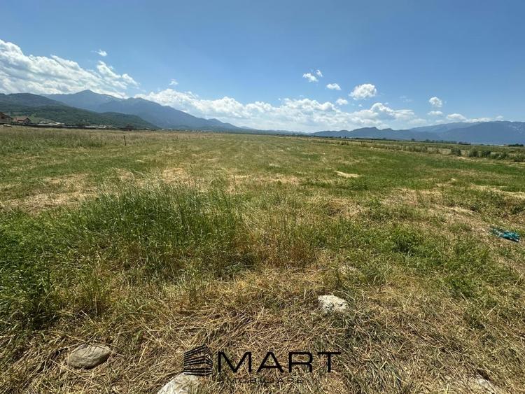 Teren Intravilan Rasnov 7.500 mp - 4