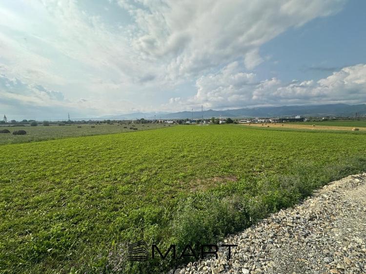 Teren extravilan 5100 mp acces auto, Cristian - 1