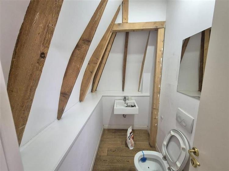 Spatii pentru birouri in vila - 233 mp - aproape km 0 - 19