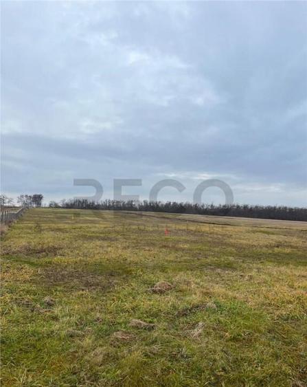 RECO Teren intravilan cu PUZ, la 4 minute de oras ,720 mp,Pa - 2