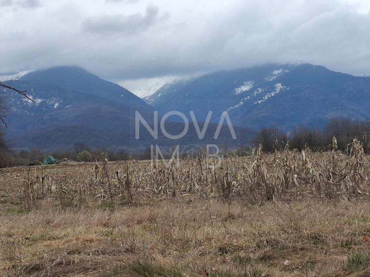 Teren agricol extravilan de 2100 mp, în Arpașu de Sus