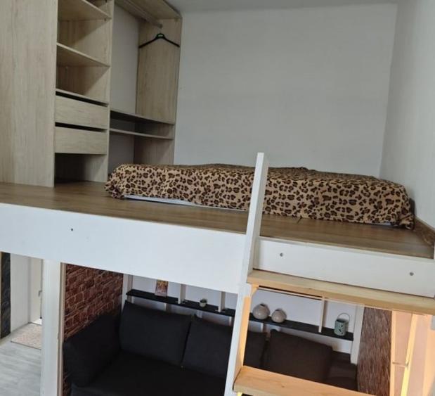 Inchiriez apartament cu 2 camere in Berceni sectorul 4 zona Luica - 6