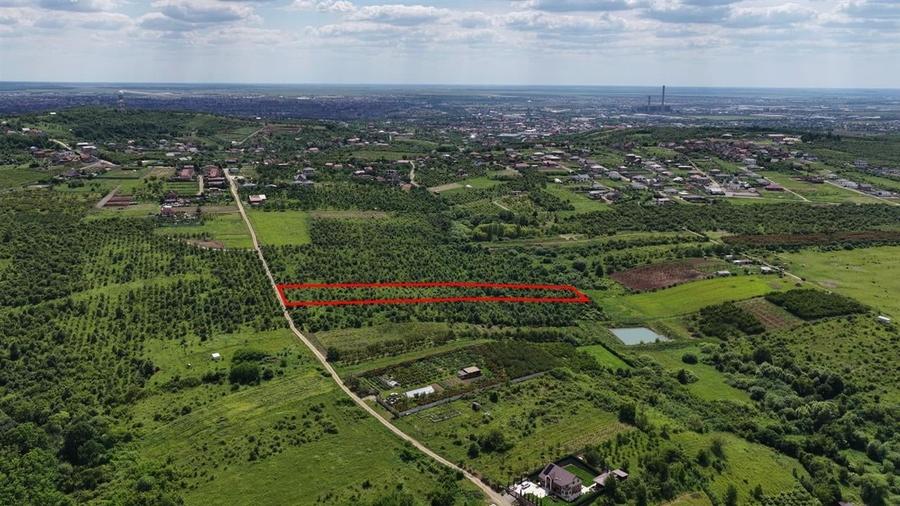 TEREN INTRAVILAN in Paleu - 3