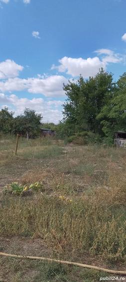 Casa la ?ara jud. Giurgiu, 4 camere, curte 4000 mp - 5