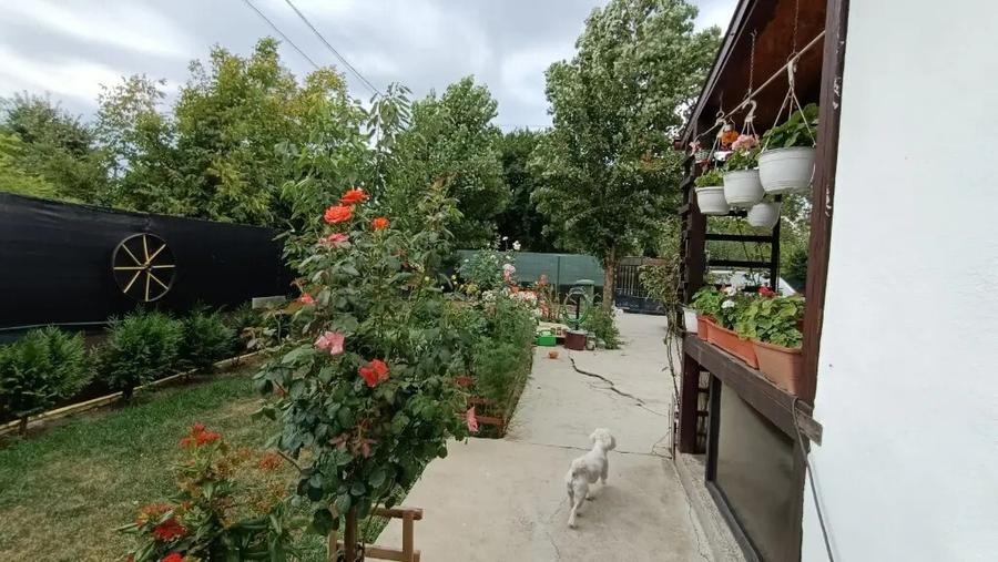 Vand casa cu teren in zona Titu - 6