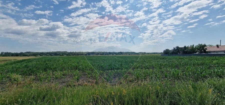 De vanzare teren 10.001 mp sat Oniscani, comuna Filipesti - 2