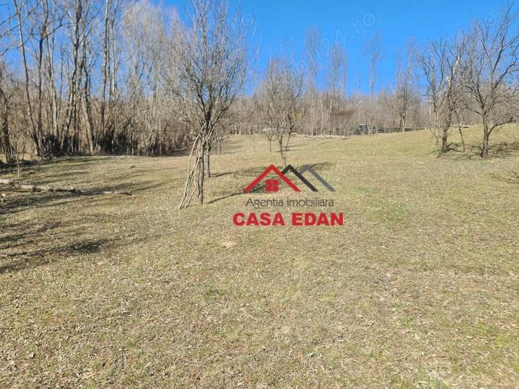 Teren extravilan in Brebu(Pietriceaua)--9104mp--50.000e - 4