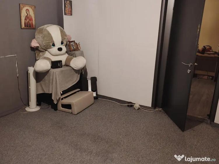 Casa din caramida de vanzare - 4