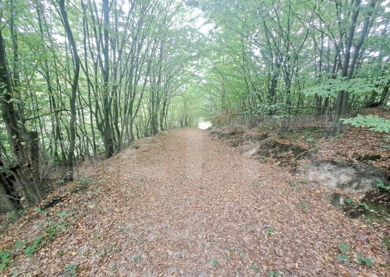 Casa de vanzare Colonia 1 Mai 75.000 EURO - 6