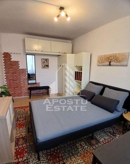 Garsoniera Pet friendly, zona Buziasului - 2