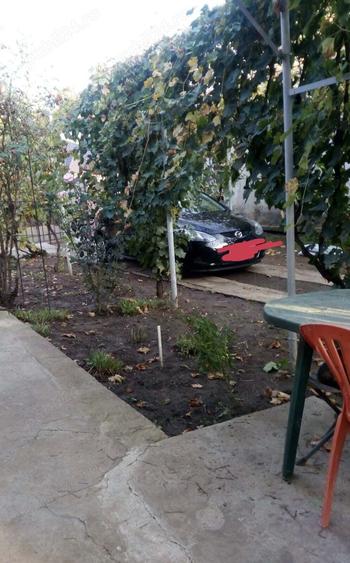 Casa batraneasca de vanzare - 8