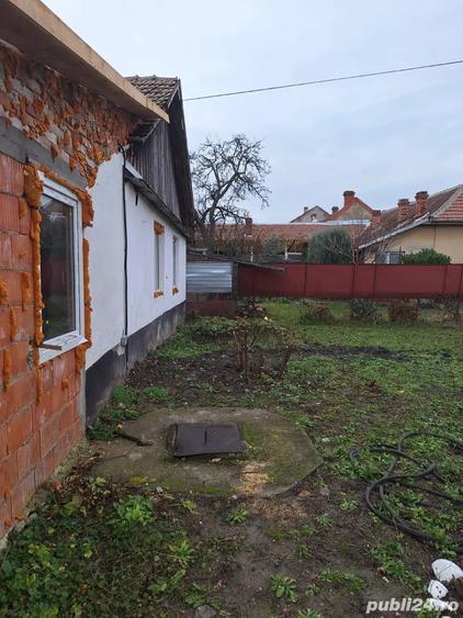 Casa de vanzare in Tormac Jud. Timis - 4