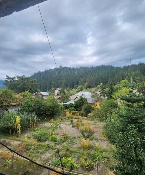 **3 Camere** - Inima Bucovinei - Comuna Vama, Suceava - 14