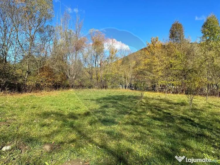 Teren de vanzare Cuiejdel 1350 mp - 12