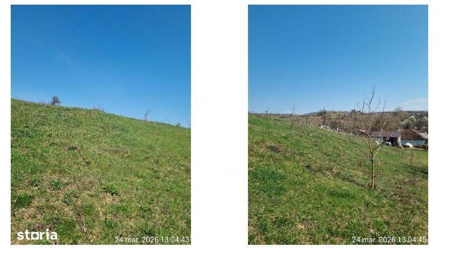 Teren extravilan, sat Topesti, comuna Dragesti, jud. Bihor - 5