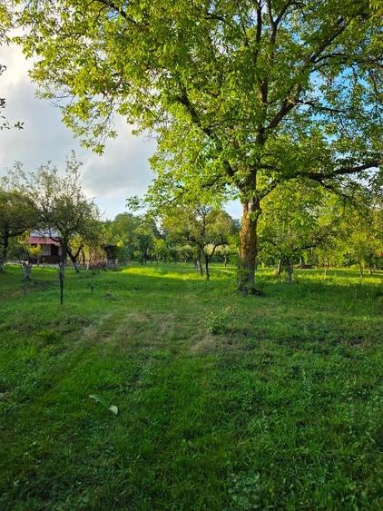 Teren 2500 mp – POTENȚIAL BUSINESS / DEZVOLTARE – Breaza - 1