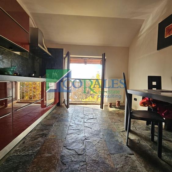 Pozitionat excelent in apropiere de Hotel Mercure. - 6