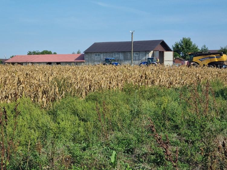 vanzare teren construibil - 5