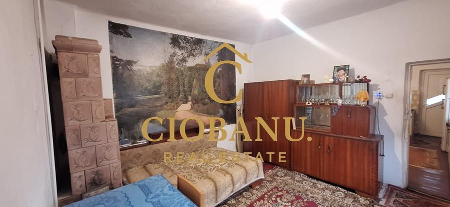 Casa de vanzare zona Campia Islaz - 18