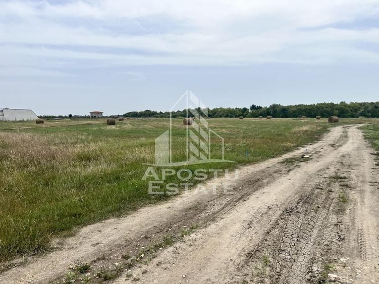 Teren intravilan pentru hala 1518 Remetea Mare in apropiere de Bega - 2