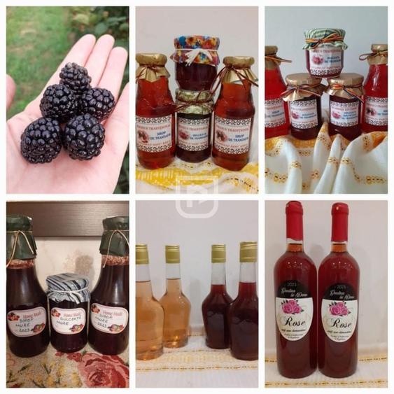 Casa la tara cu 30 ari Rasca - 16