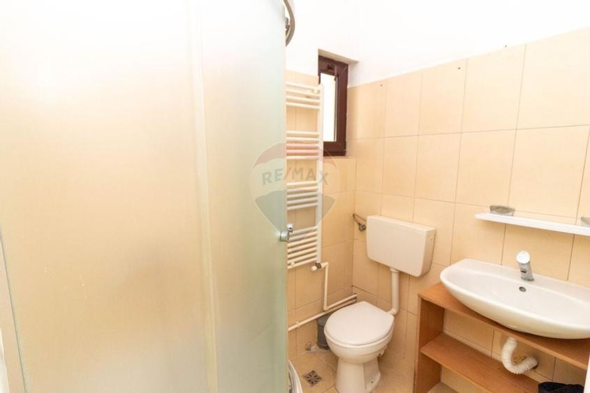 Vila deosebita P+1+M de vanzare Pantelimon - Padurea Cernica - 25