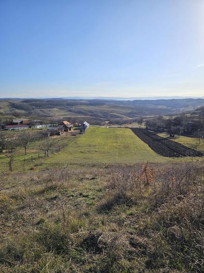 Teren de vanzare - 2